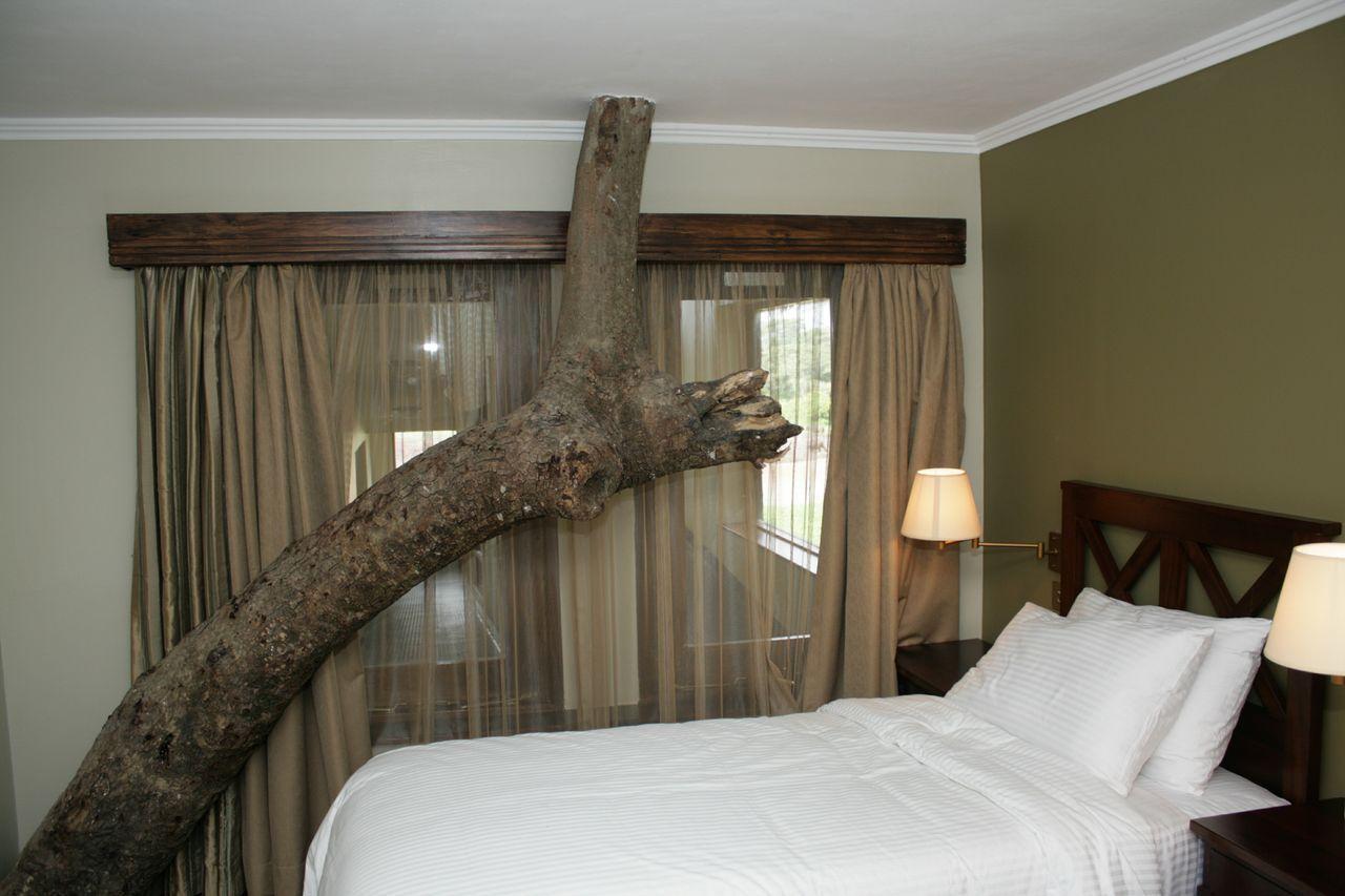 Treetops Mweiga Room photo