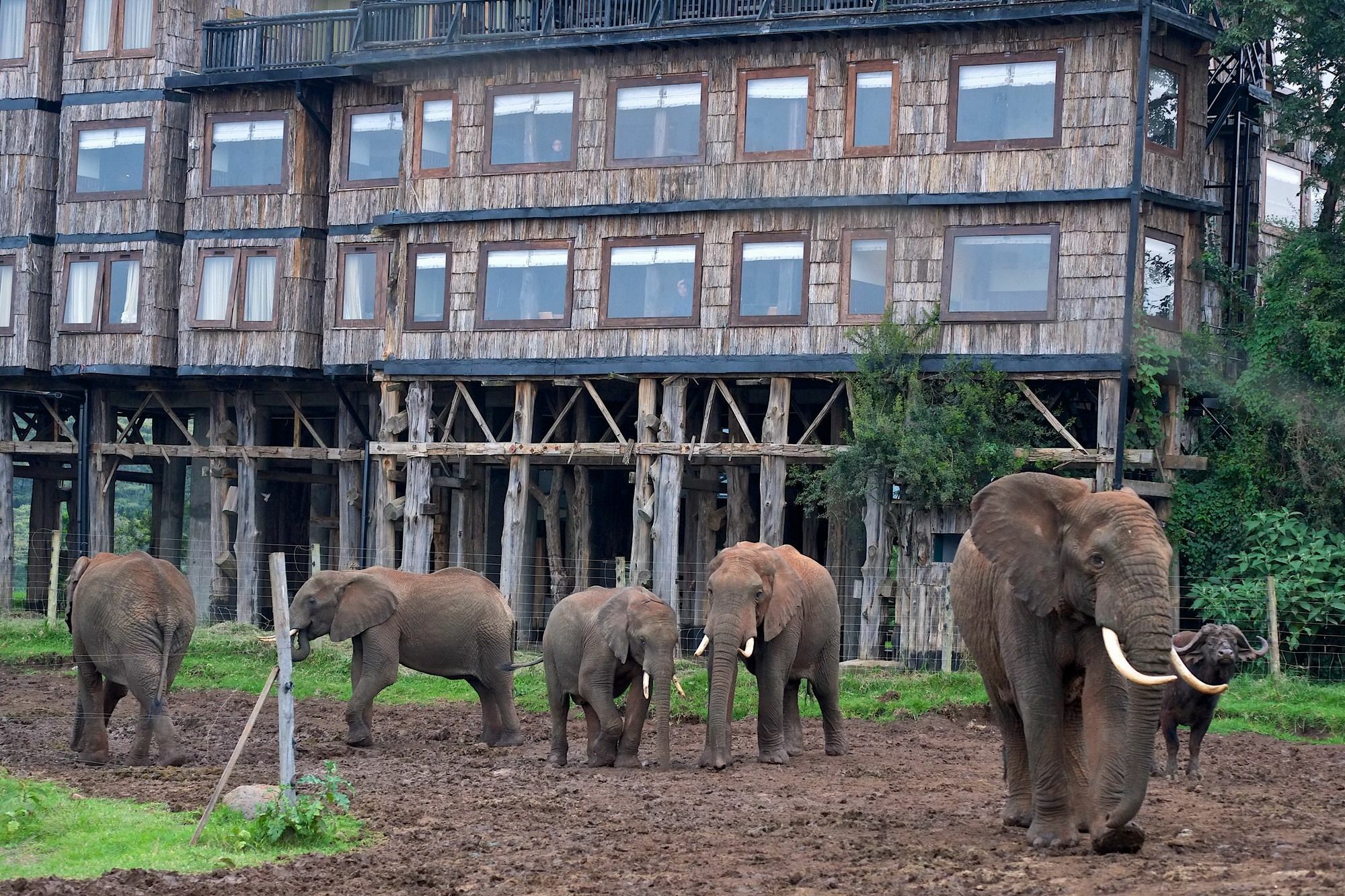Treetops Mweiga Exterior photo